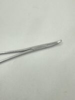 Img 20260221 132644 017