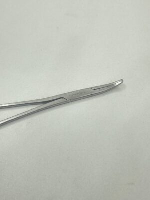 Img 20260221 132644 017