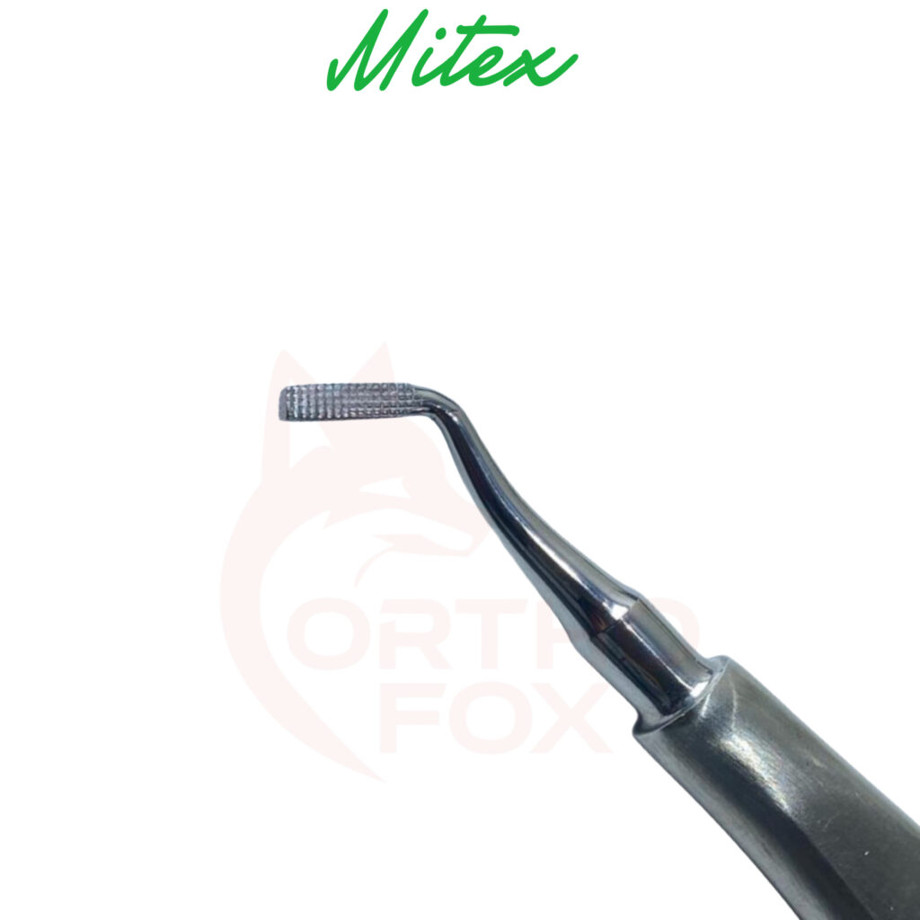 79a0b4dd 91ec 4016 877b 669ac18e331d